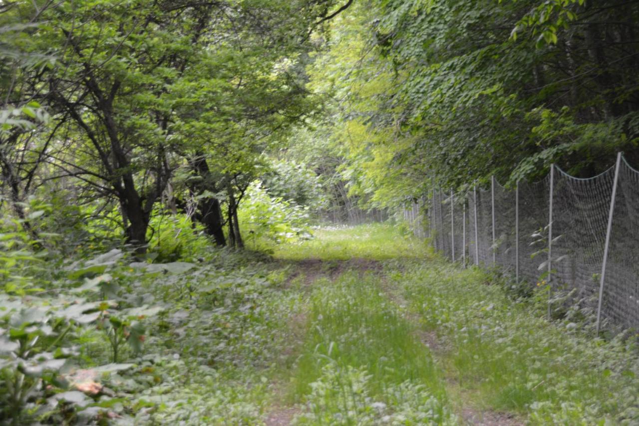 鹿家 Furano Dear House Villa Bagian luar foto